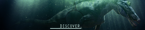 Storebanners Discover S.png