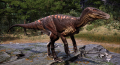 Megaraptor Skins Western.png