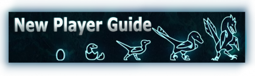 New Player Guide