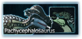 Pachycephalosaurus MAINPAGE.png