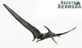 Pteranodon adult.png