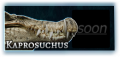 Kaprosuchus MAINPAGE.png